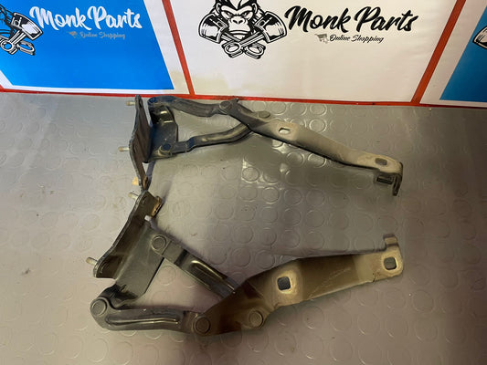 Bisagras capo RENAULT SCENIC II 81663-G 81662-F