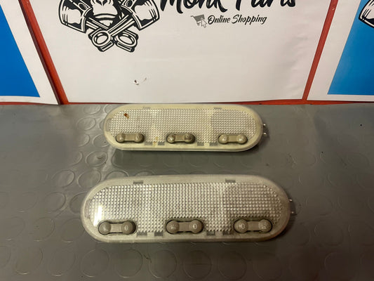 Luces techo RENAULT MEGANE II y SCENIC II 8200073234 (precio unidad)