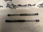 Amortiguadores capó BMW SERIE 5 E60 E61 Originales